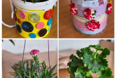 Projekt bez nazwy - 3